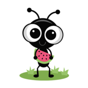 Test-2