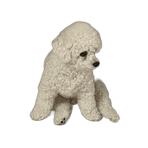 Test-1